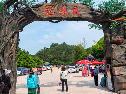 拓展活動現(xiàn)場